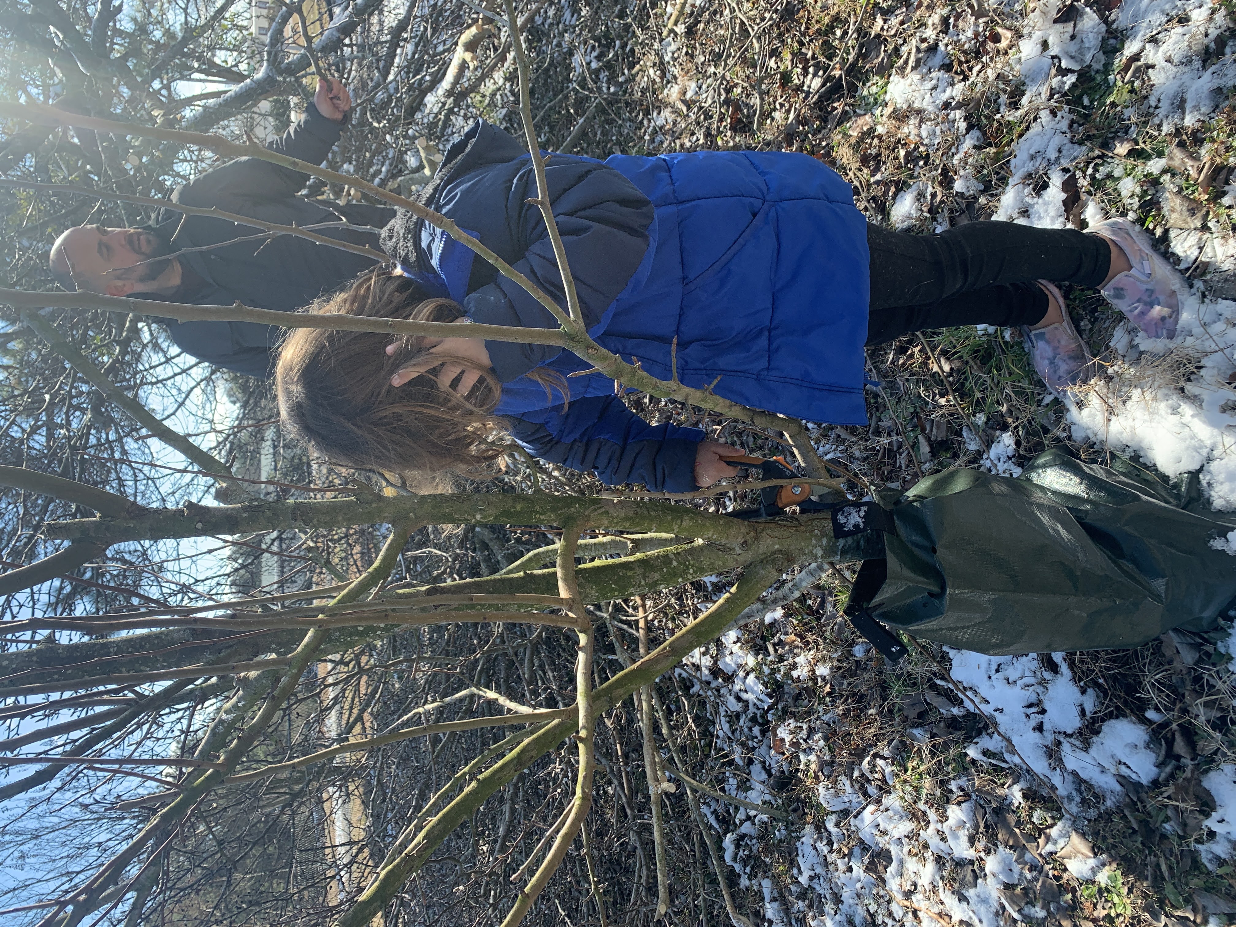 Winter Work